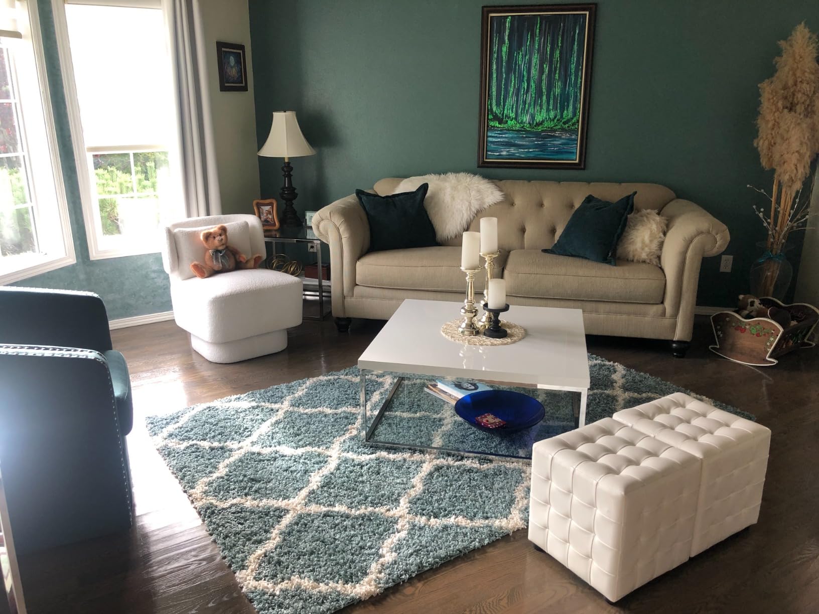 SAFAVIEH Dallas Shag Rug 8'x10', Soft Plush Moroccan Ivory & Beige SGD257B customer photo 1