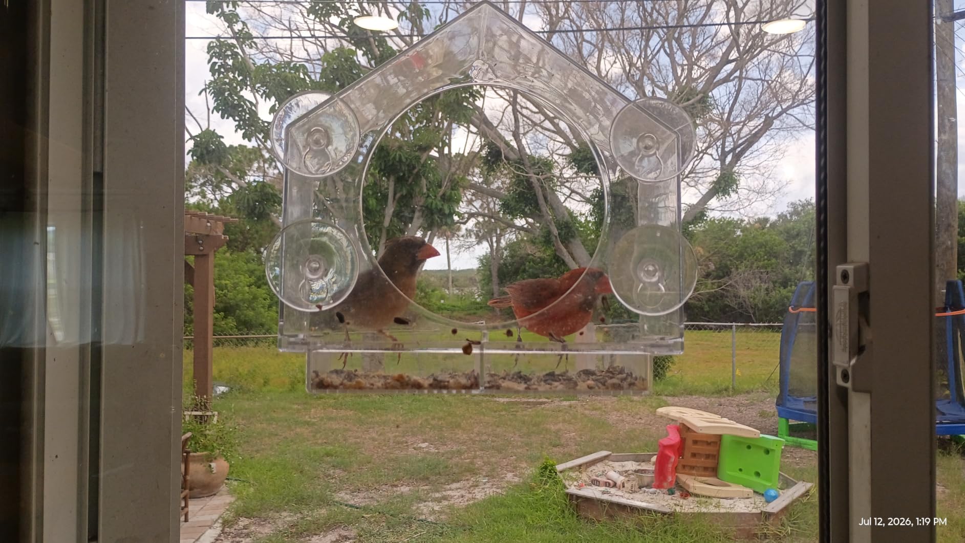 Window Bird Feeder with Strong Suction Cups, Bird Feeders for Outdoors customer photo 2