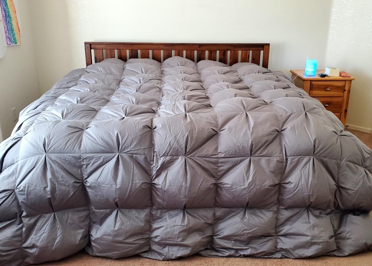 puredown® Goose Down Comforter Full/Queen Size 800 Fill Power, 100% Cotton Winter Oversized Duvet Insert 700 Thread Count, Heavyweight Cloud Fluffy Pinch Pleat Extra Warmth customer photo 1