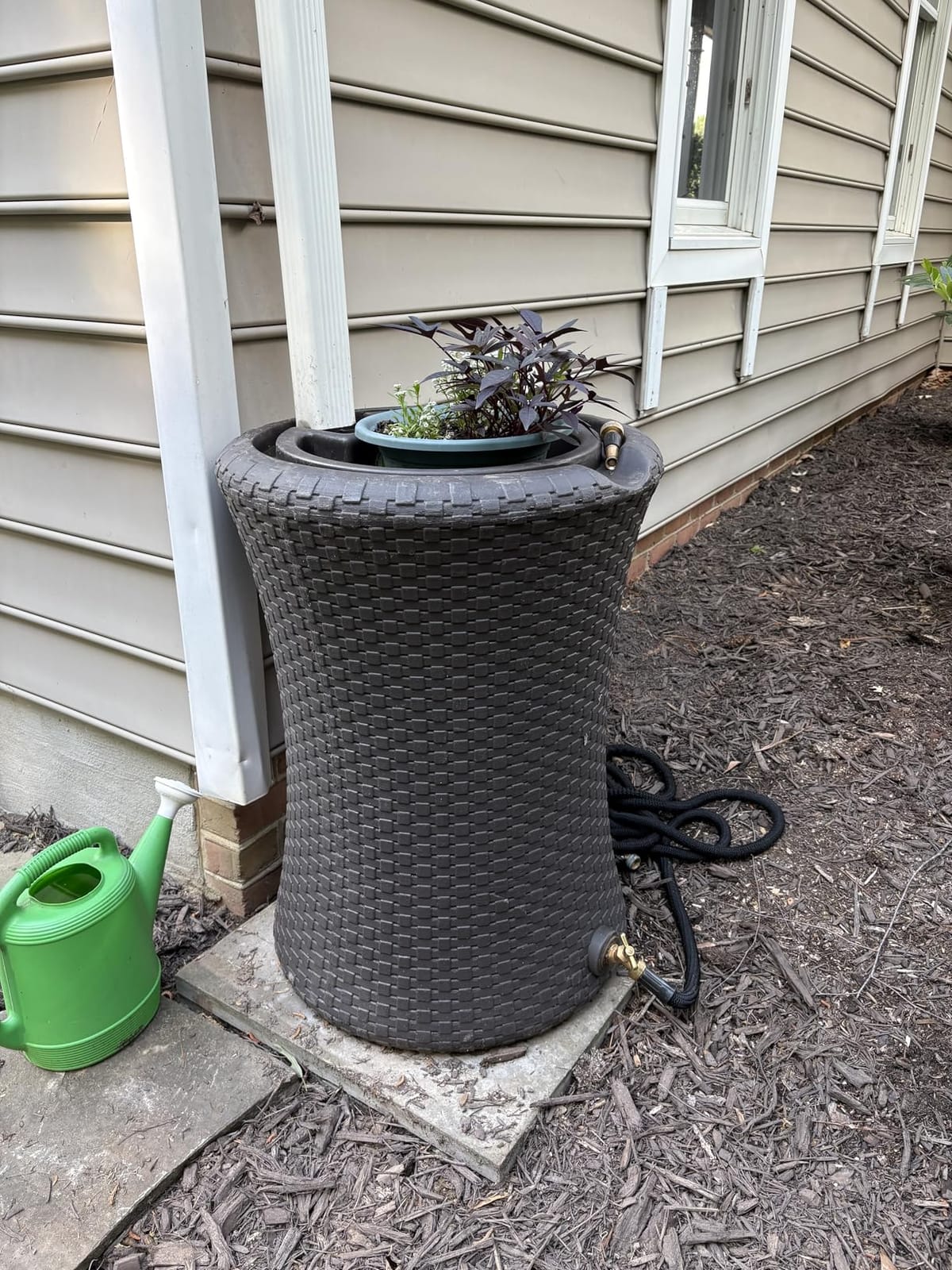 Good Ideas Impressions Nantucket Rain Water Collection Barrel, 50 Gallon customer photo 2
