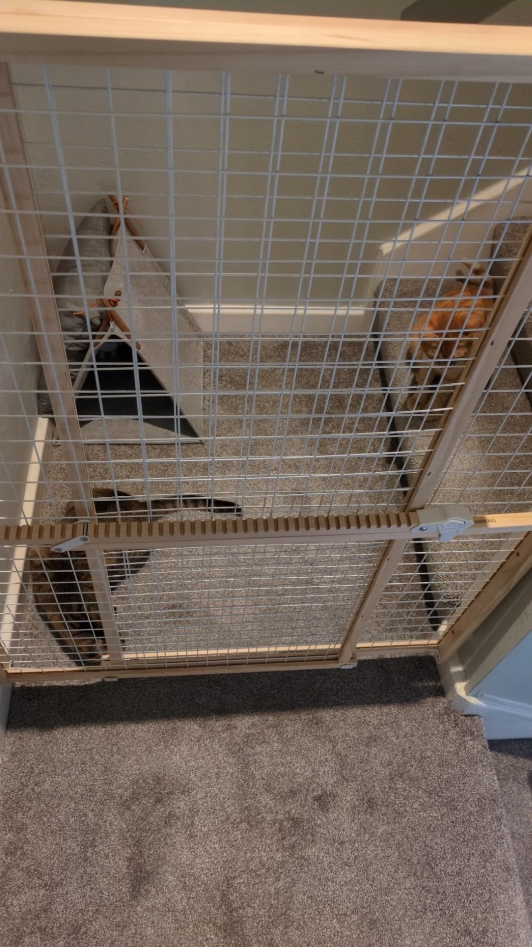 MidWest Homes for Pets Wire Mesh Pet Safety Gate, Dog Gate Expands From 29 - 50 Inches Wide, 44 Inches Tall, Wood, Powder Coated Wire customer photo 1