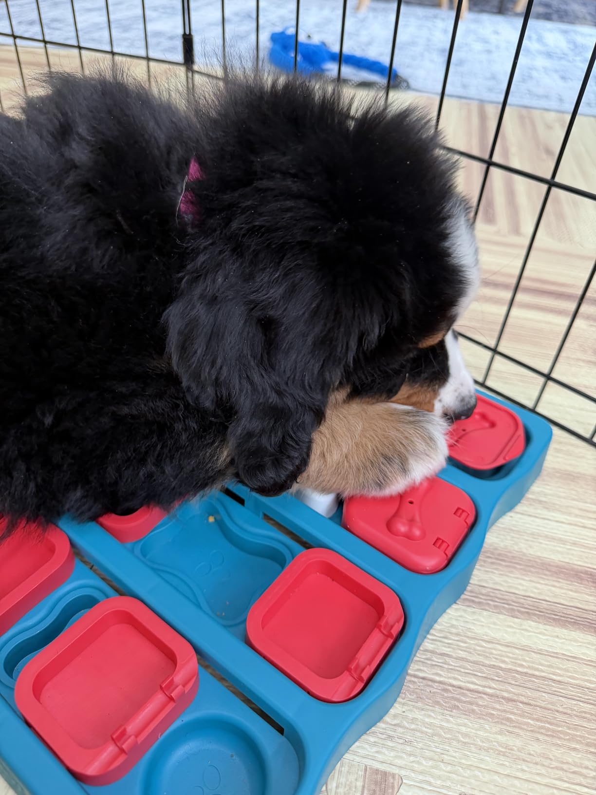 Outward Hound Nina Ottosson Dog Brick Dog Toy Treat Puzzle, 12.8