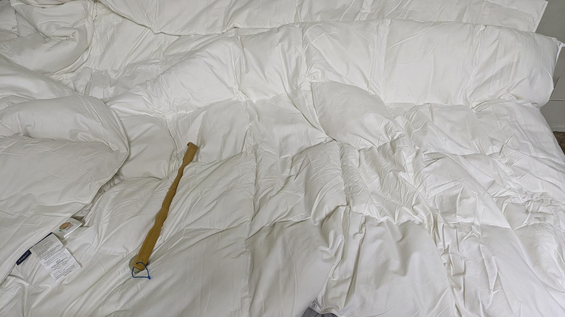 Globon Winter Goose Down Comforter Queen Size,800 Fill Power,White customer photo 1