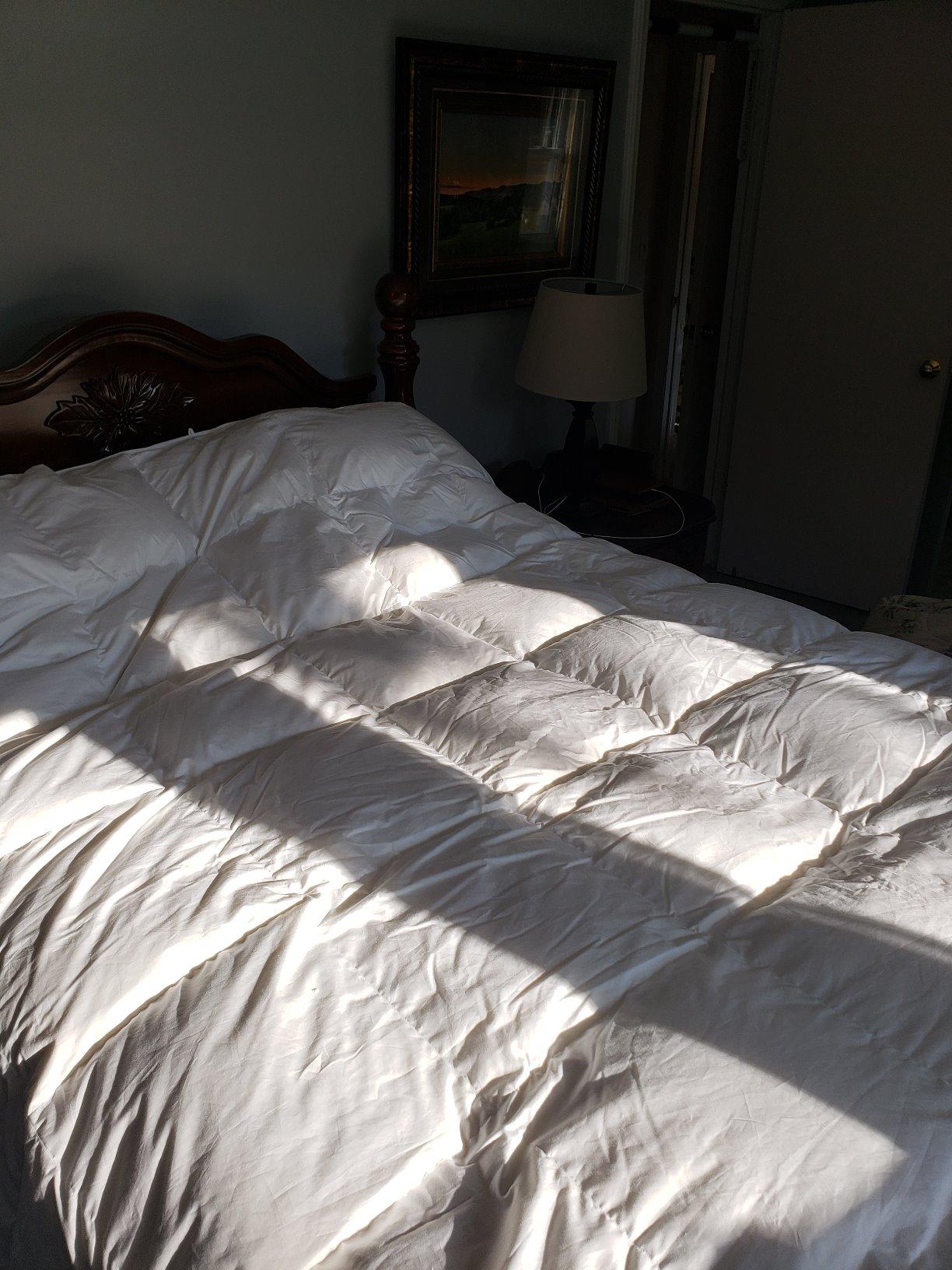 Globon Winter Goose Down Comforter Queen Size,800 Fill Power,White customer photo 2