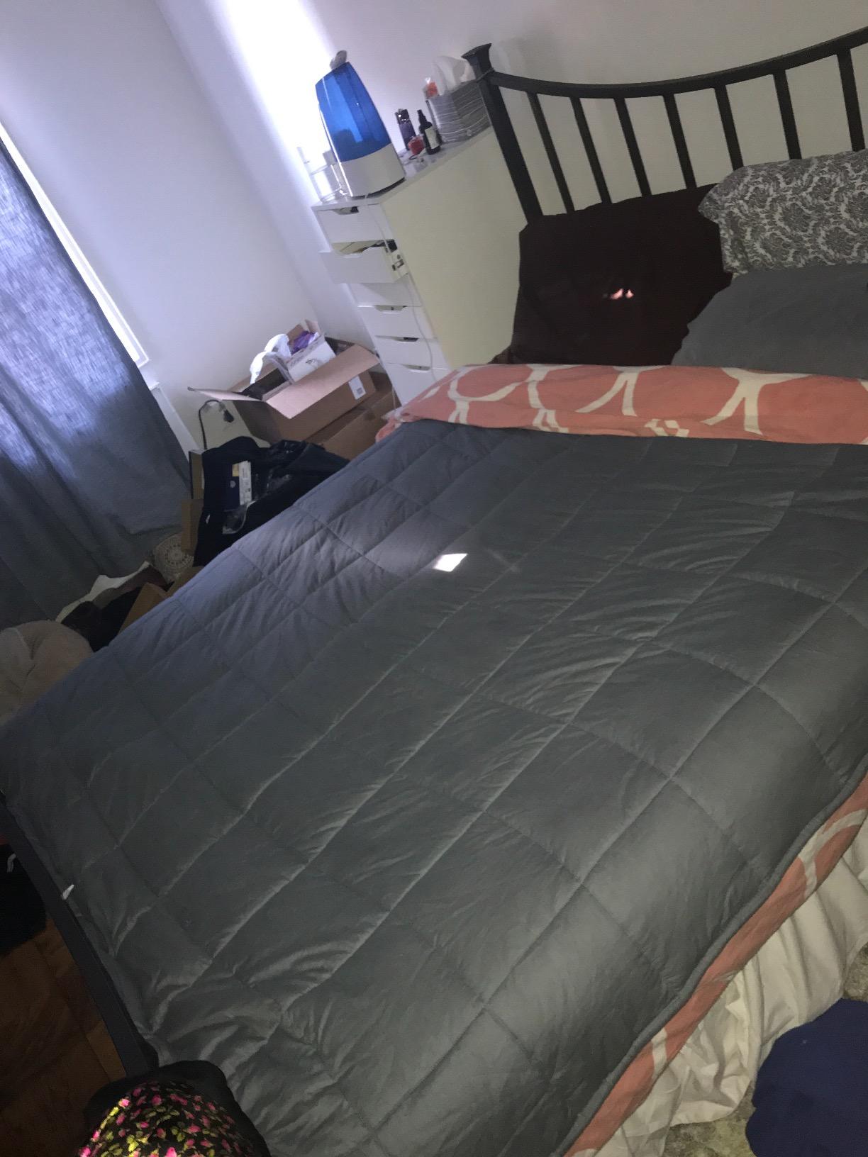 ZonLi Weighted Blanket for Adults (60