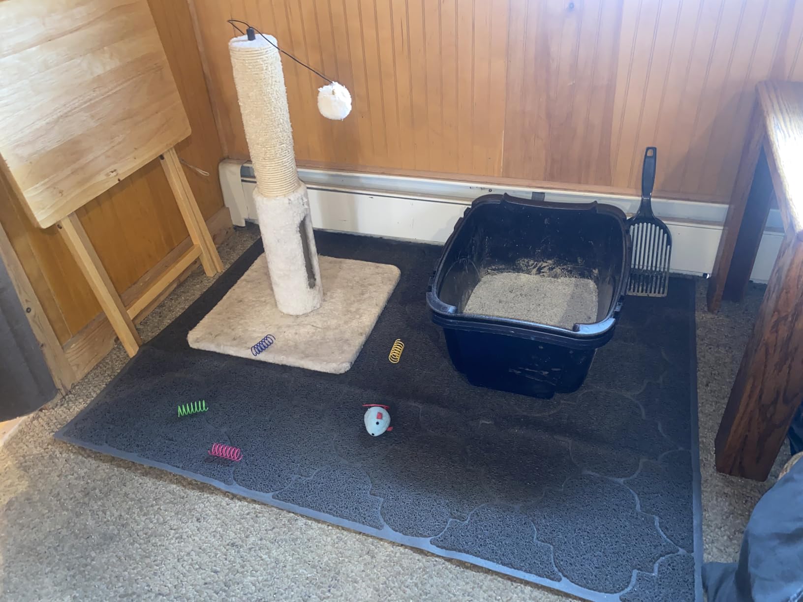 LittleTiger Cat Litter Mat, XL Super Size, Phthalate Free, Easy to Clean, 46x35 Inches, Durable, Soft on Paws, Large Litter Mat. customer photo 2
