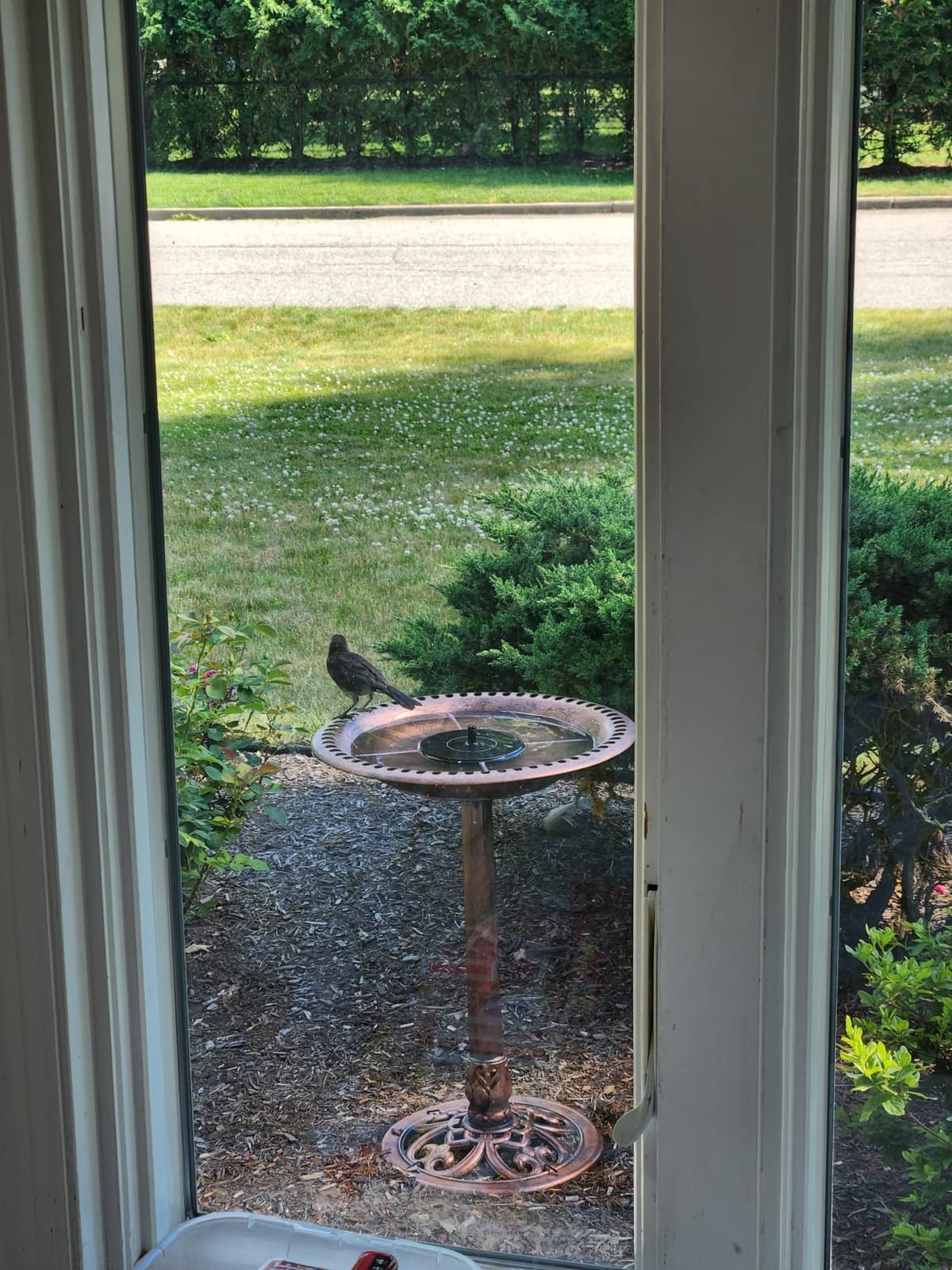 Best Choice Products Bird Bath, 28in Outdoor Resin Pedestal - Copper customer photo 1