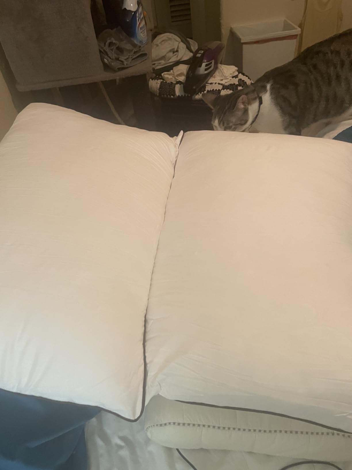 JOLLYVOGUE Pillows Queen Size Set of 2, Cooling and Firm Pillows with Oeko-Tex Certified Down Alternative Filling for Side, Back, and Stomach Sleepers, Hotel Collection customer photo 1