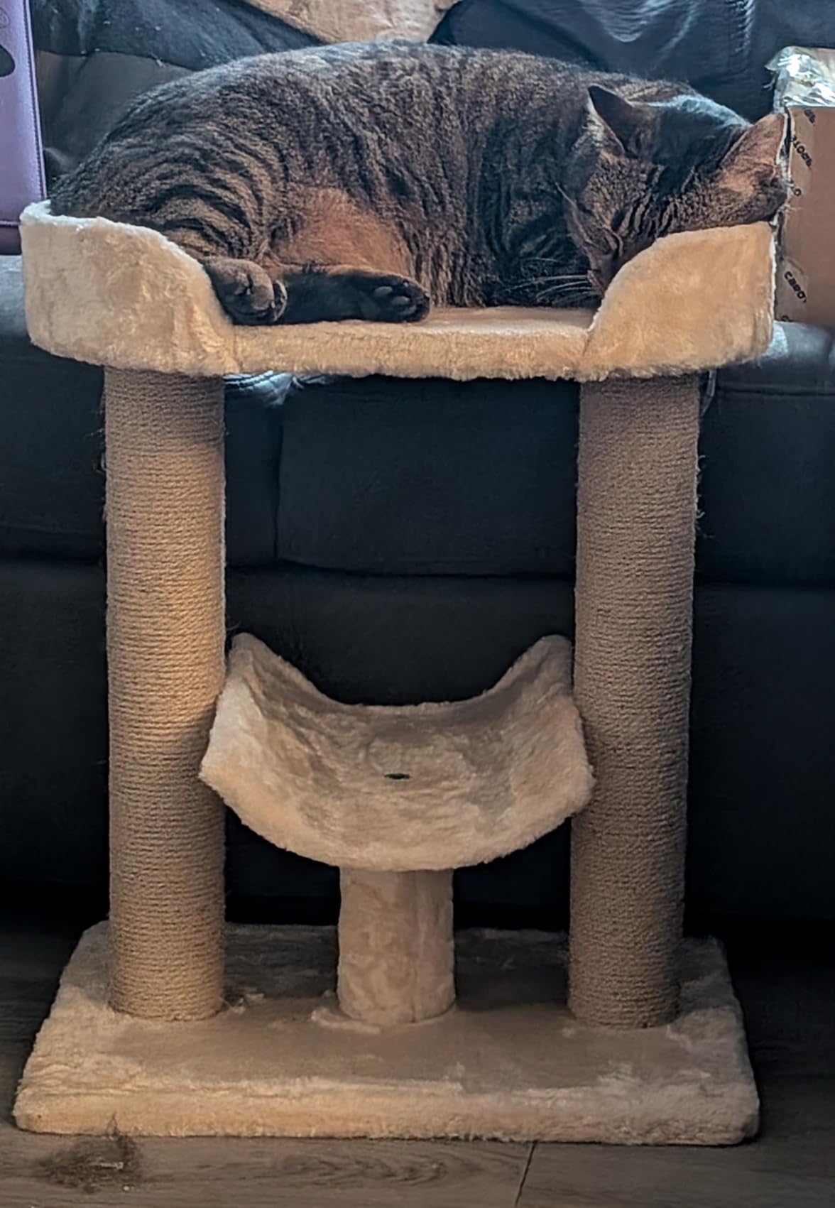 Amazon Basics Multi-Platform Cat Tree with Scratching Post for Indoor Cats up to 25lbs, 18 x 14 x 22 Inches, Beige customer photo 1