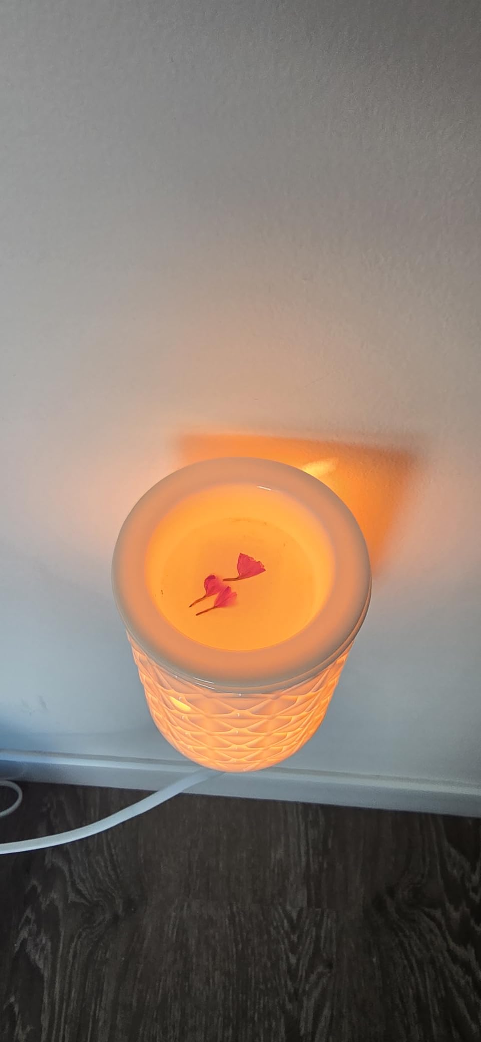 STAR MOON Ceramic Wax Melt Warmer, Plug in Wax Warmer for Scented Wax, Scentsy Wax Warmer for Fragrance Oil, Night Light Wax Burner Decoration with Two Bulbs customer photo 1