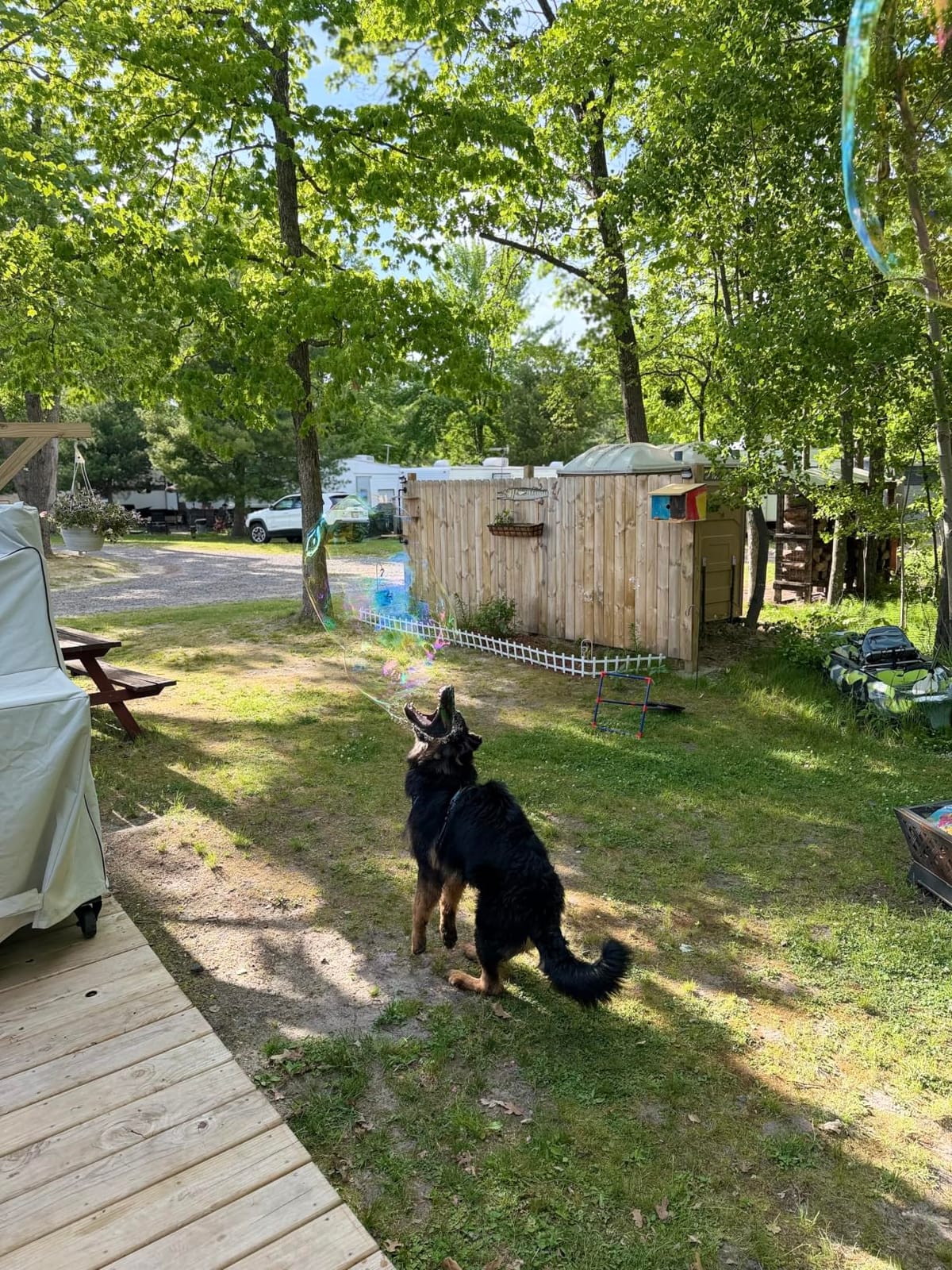 PHOEPET Reflective Dog Harness Large Breed Adjustable No Pull Vest customer photo 2
