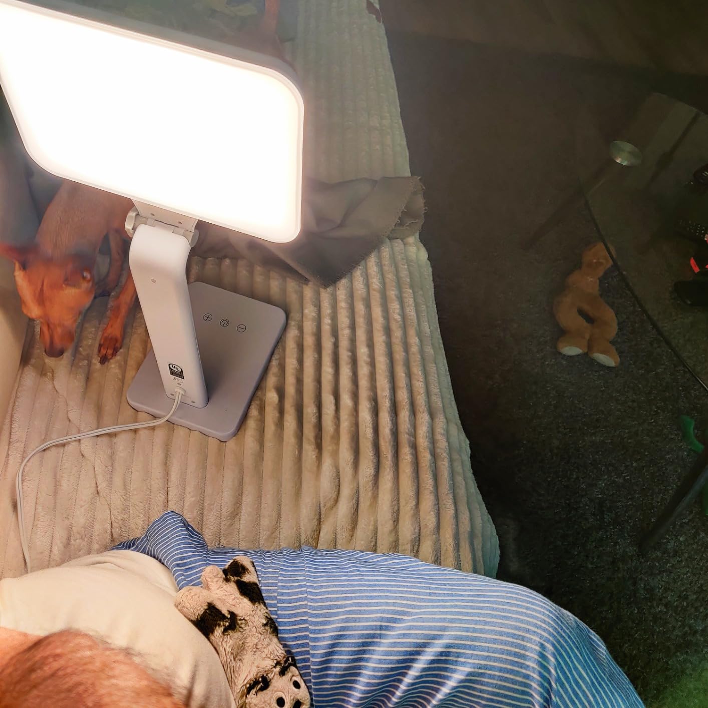Theralite Aura Bright 10000 Lux Therapy Lamp, Sun Lamp for Light Box Therapy to Fight Low Energy with Adjustable Brightness 4 Light Settings for Sunlight Deprivation for Home and Office Use, White customer photo 2