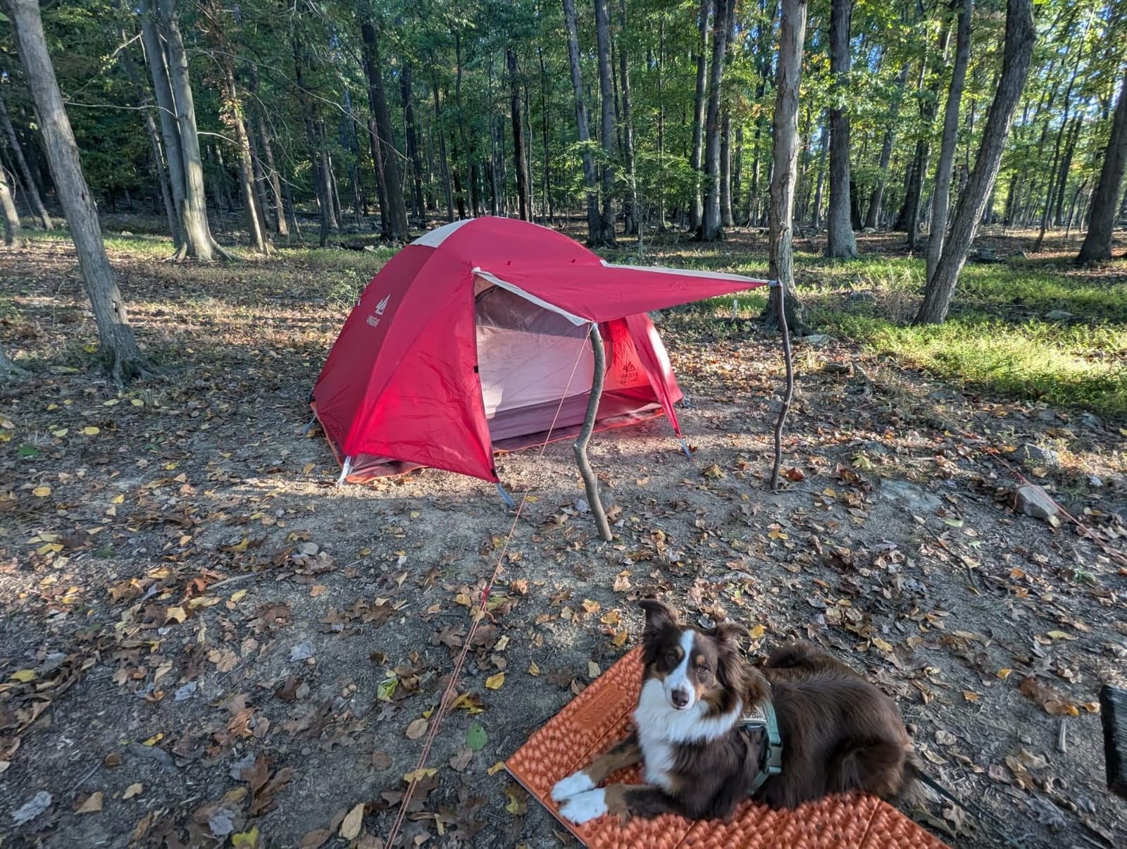 NEMO Equipment Switchback Foam Sleeping Pad customer photo 1