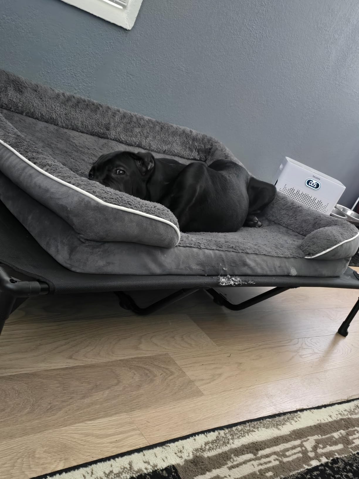 Veehoo Outdoor Elevated Dog Bed Large Sized Dogs, Cooling Raised Dog Cots customer photo 2