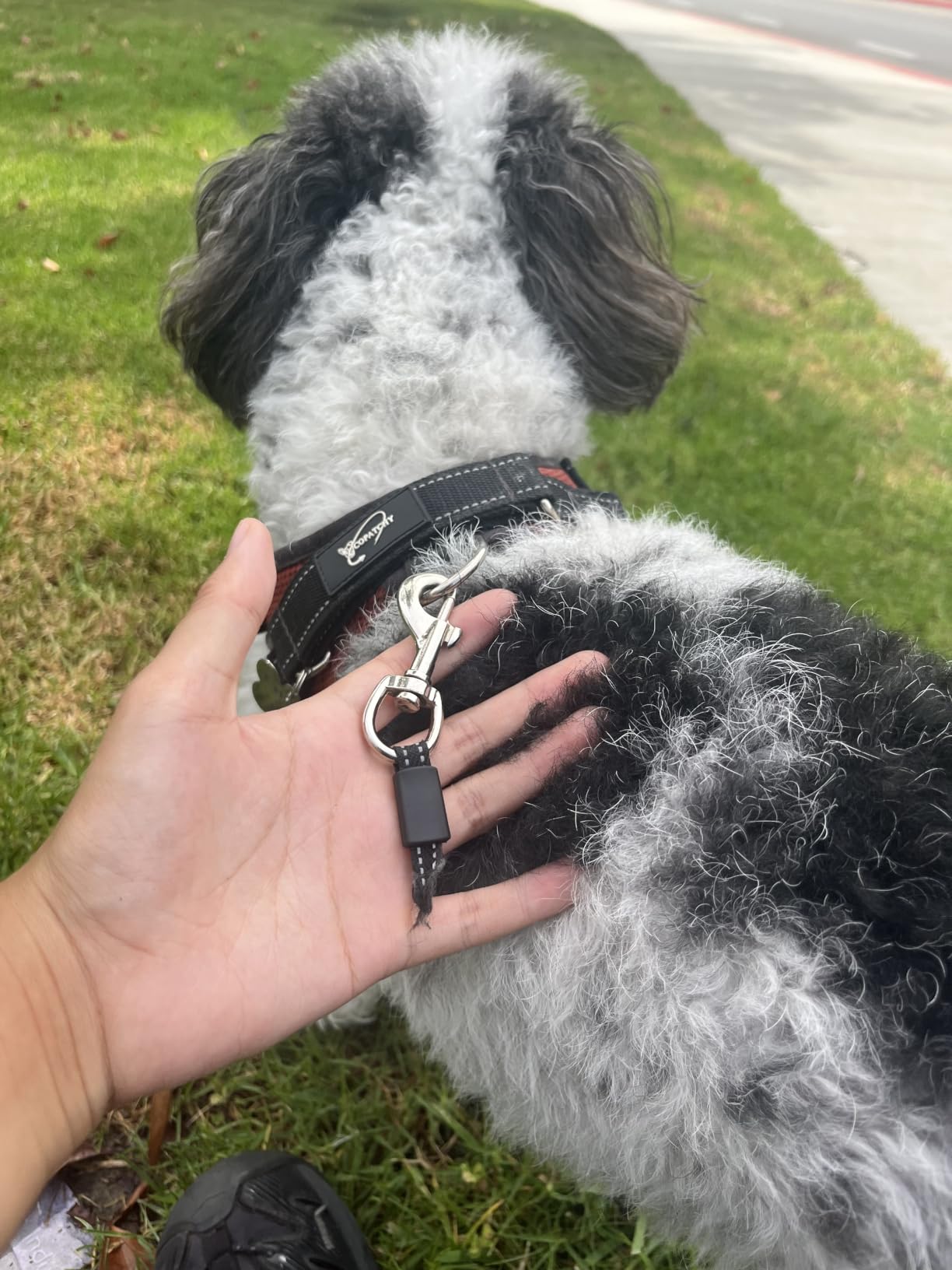 Fida Retractable Dog Leash Large Breed, Heavy Duty 16 ft Dog Walking Leash, up to 110 lbs, 360° Tangle Free, Black customer photo 1
