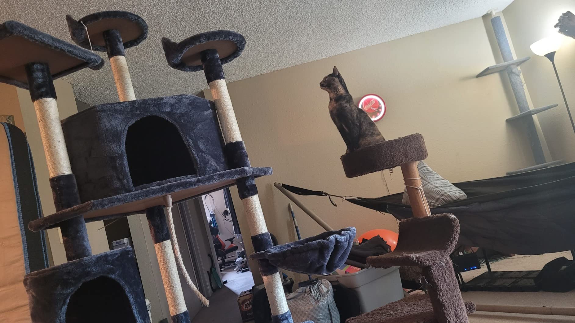 Yaheetech 79in Multi-Level Cat Tree for Multiple Cats with 9 sisal Posts customer photo 2