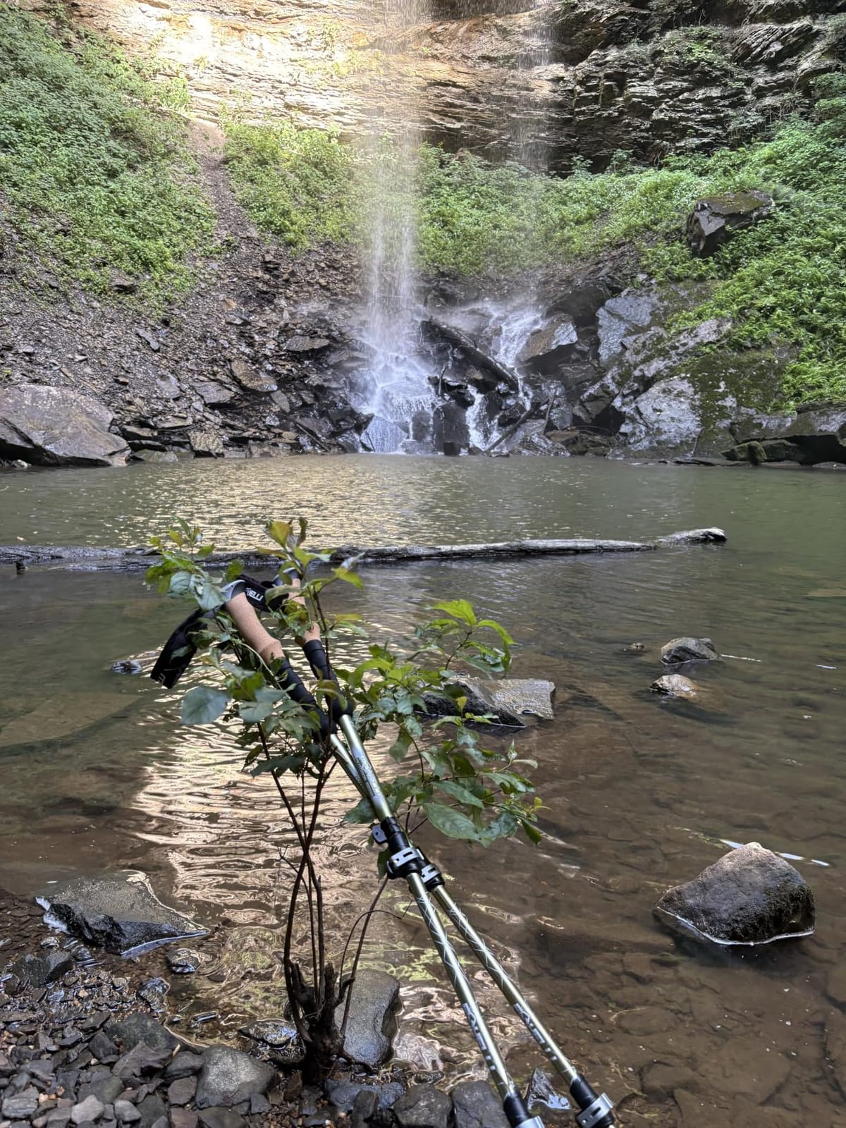 Foxelli Trekking Poles – Lightweight Collapsible Aircraft Grade Aluminum Hiking Poles with Cork Grips Quick Locks & All-Terrain Accessories – Pair of 2 customer photo 2