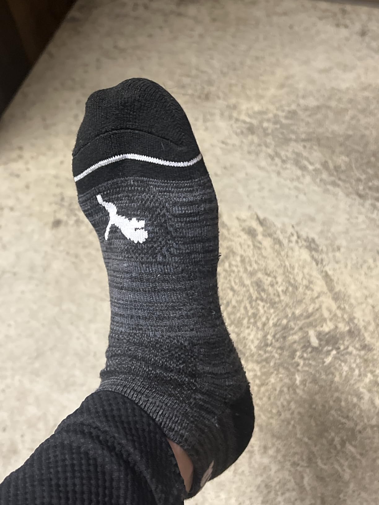PUMA Women's 8 Pack Low Cut Socks customer photo 1