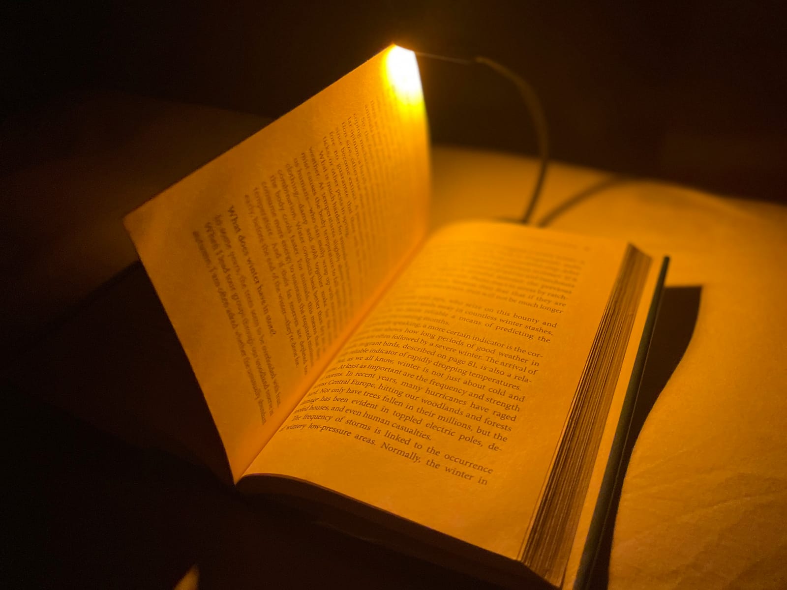 hooga Amber Book Light, Rechargeable Clip-On Blue Light Blocking LED Reading Light, 1600K Warm Eye Care for Bed, Students, Kids, Travel, Nursing, Studying customer photo 1