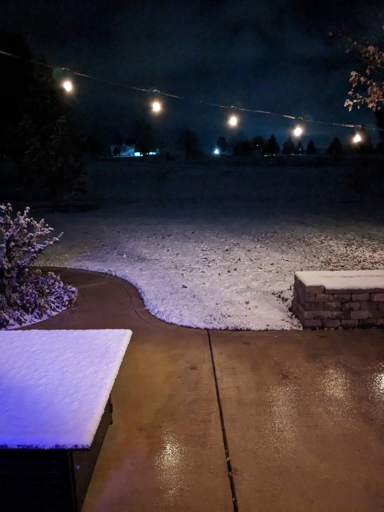 addlon LED Outdoor String Lights 48FT Edison Vintage Weatherproof ETL customer photo 1