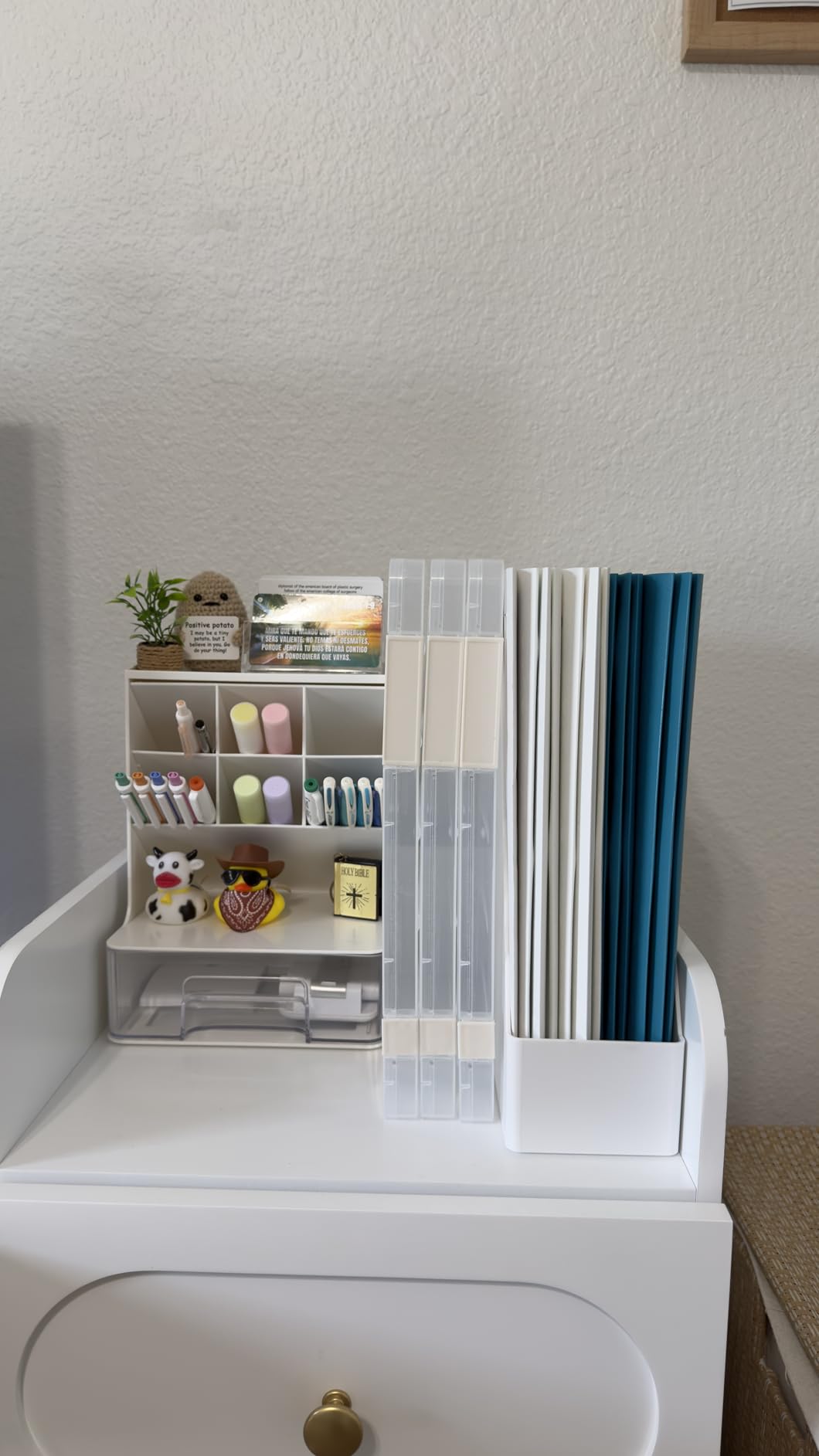 Amazon Basics Rectangular Plastic Desk Organizer, Magazine Rack, White, 2-Pack Temp customer photo 2