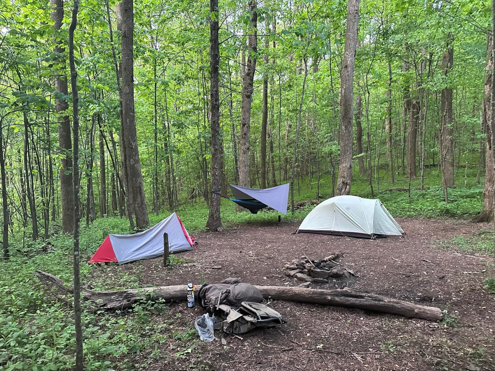 Camping Hammock with Rain Fly Tarp and Mosquito Net Tent Tree Straps, Portable Single Double Nylon Parachute Hammock Rainfly Set for Backpacking Hiking Travel Yard Outdoor Activities Green customer photo 1