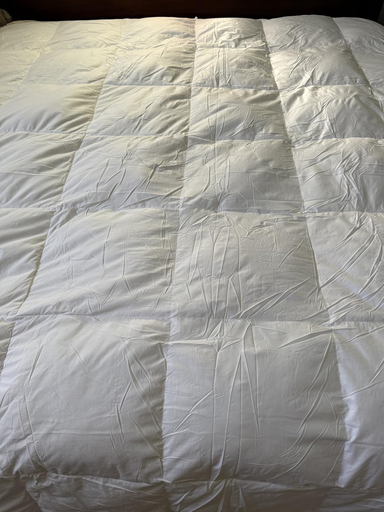 Serta Goose Feather Down Fiber Comforter Queen Size - 100% Cotton Cover Duvet Insert - Hotel Luxury Hypoallergenic Bedding Comforter Extra Warmth 90 x 90 Inch White customer photo 1