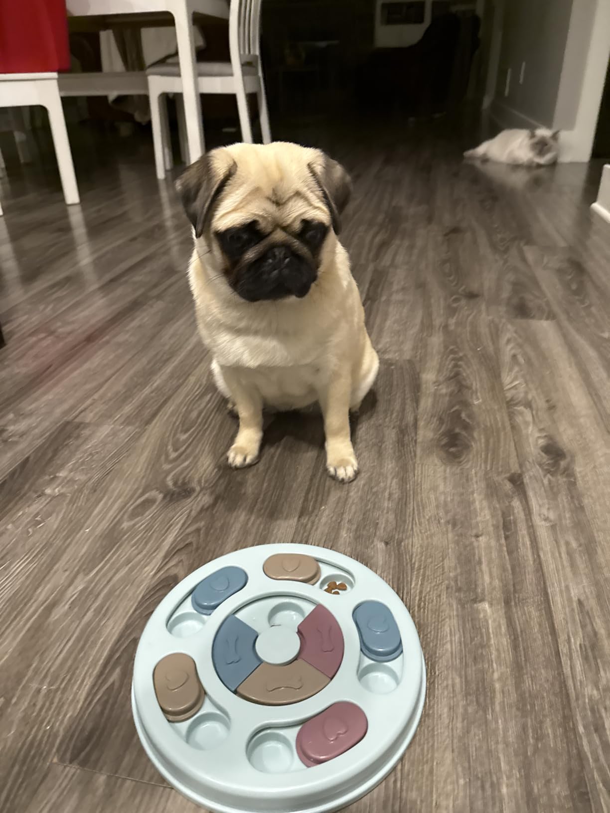 Joansan Interactive Dog Puzzle Game Toys, Dog Enrichment Toys for Puppy Mentally Stimulating Treat Dispenser Dog Treat Puzzle Feeder for Small,Medium and & Large Dogs Treat Training (Blue) customer photo 1