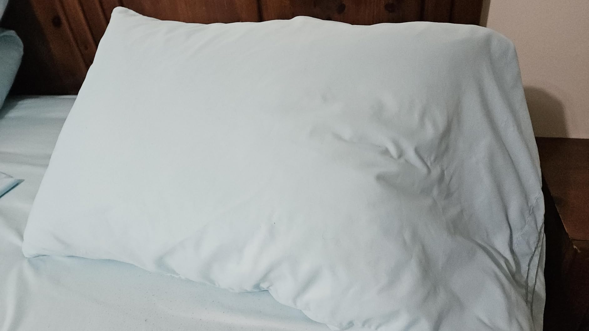 Goose Feathers and Down Pillows, Bed Pillows Queen Size Set of 2 customer photo 1