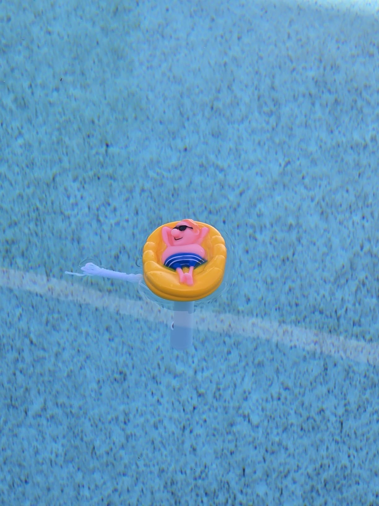 Pool Thermometer Large Floating Water Temperature Thermometers customer photo 1