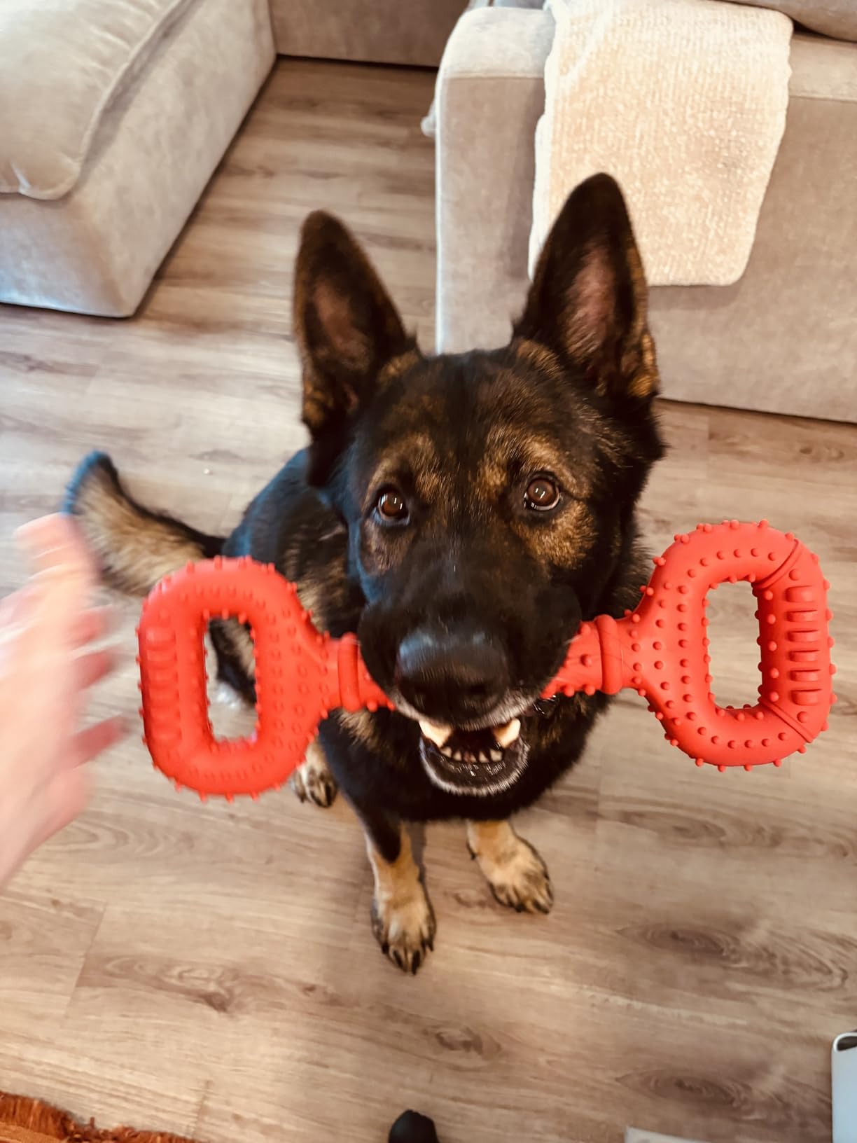 Feeko Dog Toys for Aggressive Chewers Large Breed, 15 inch Interactive Long Lasting Dogs Toy with Convex Design Natural Rubber Tug-of-war Toy for Medium Large Tooth Clean(Red) customer photo 2