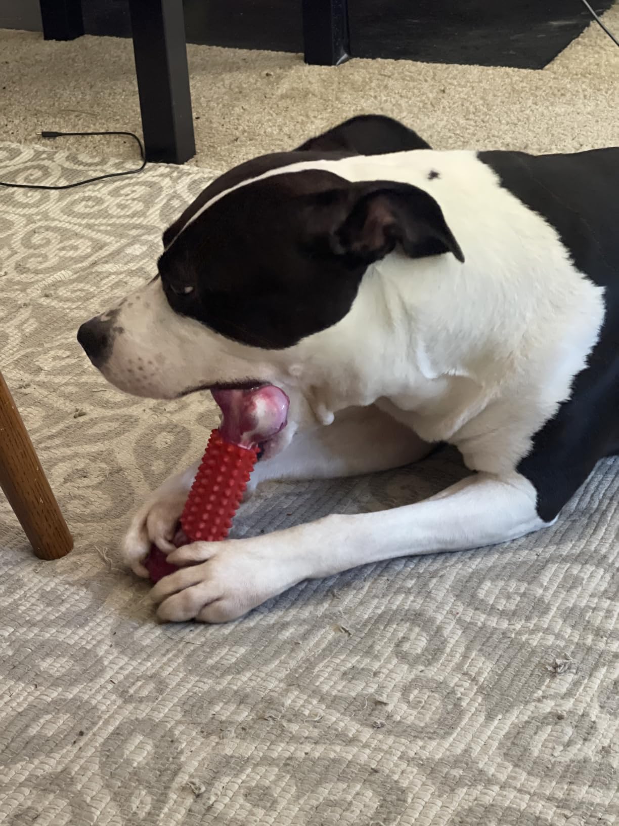 Tough Dog Toys for Aggressive Chewers: Beef Flavored Long Lasting Dog Bones for Large Dogs, Indestructible Dog Chew Toys to Keep Them Busy, Large Dog Toys for Medium & Large Breed, Red customer photo 2