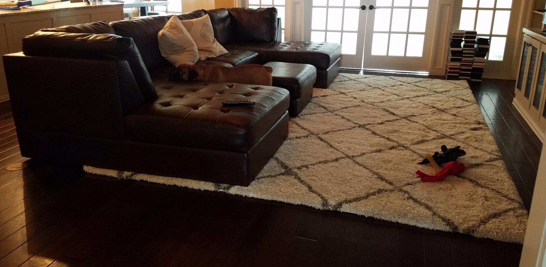 SAFAVIEH Hudson Shag Rug 5'3