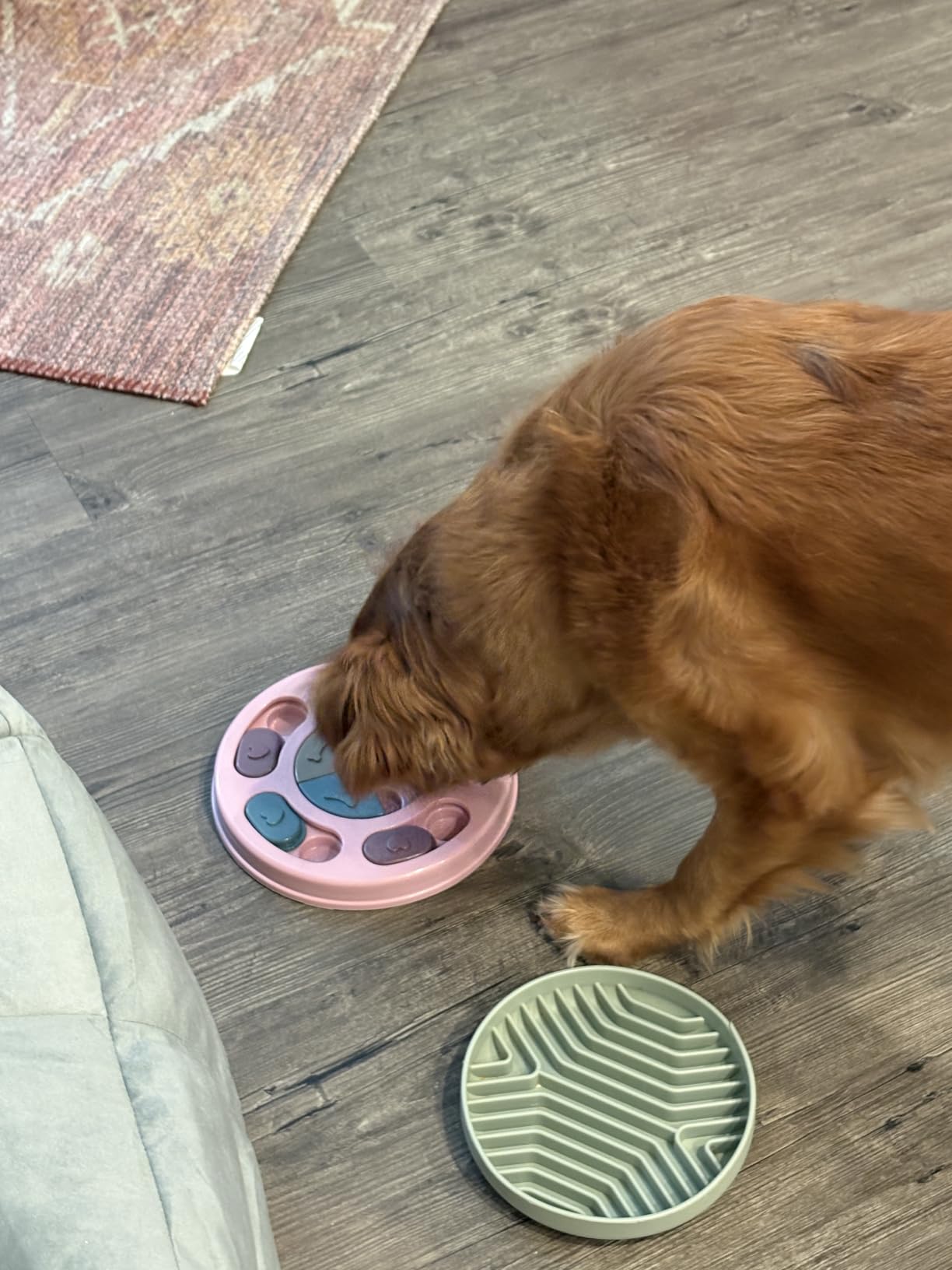 DR CATCH Dog Puzzle,Dogs Food Toys for IQ Training & Mental Enrichment,Dog Treat Puzzle(Blue) customer photo 2
