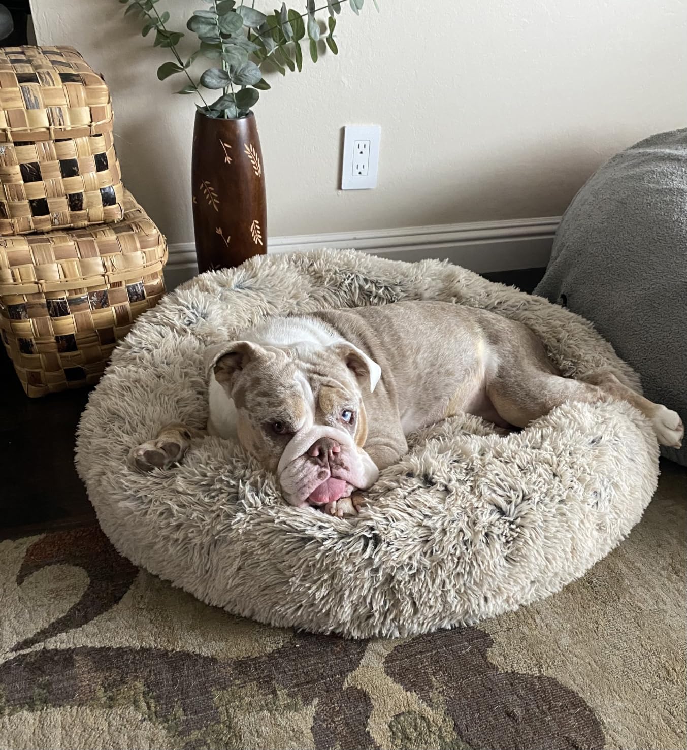 Best Friends by Sheri Original Calming Donut Dog Bed, Oyster, Large, 36