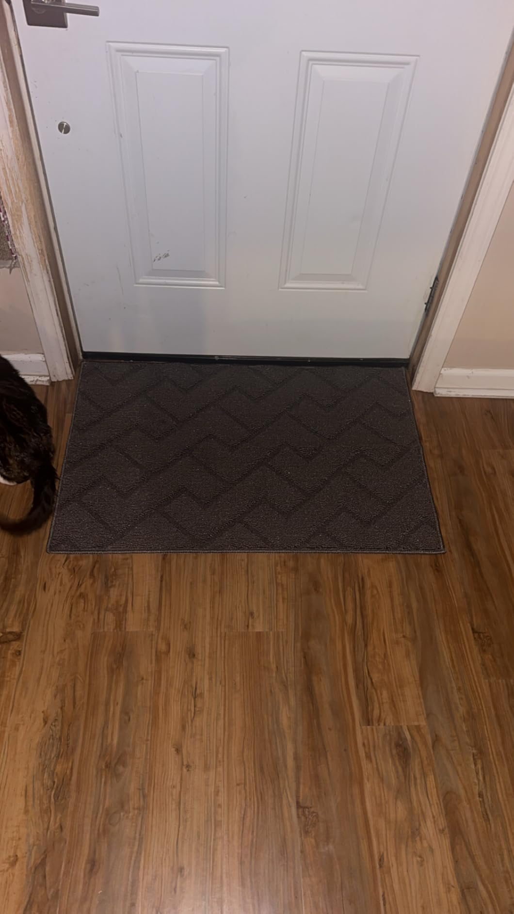 hicorfe Dirt Trapper Indoor Doormat,20