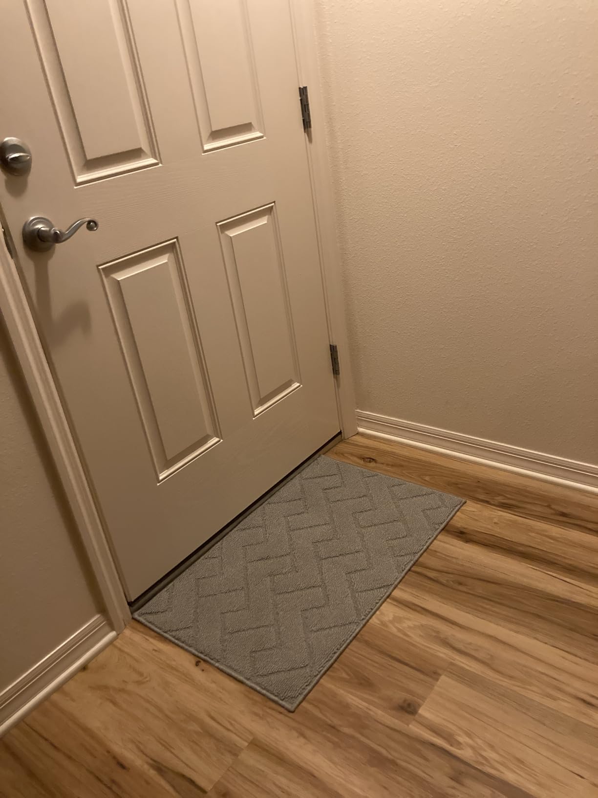 hicorfe Dirt Trapper Indoor Doormat,20