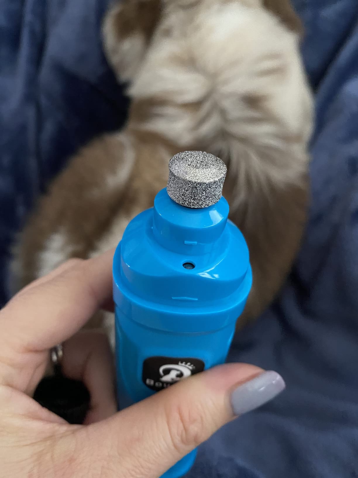 BOUSNIC Dog Nail Grinder with 2 LED Light - Super Quiet Pet Nail Grinder Powerful 2-Speed Electric Dog Nail Trimmer File Toenail Grinder for Puppy Small Medium Large Breed Dogs & Cats (Blue) customer photo 1