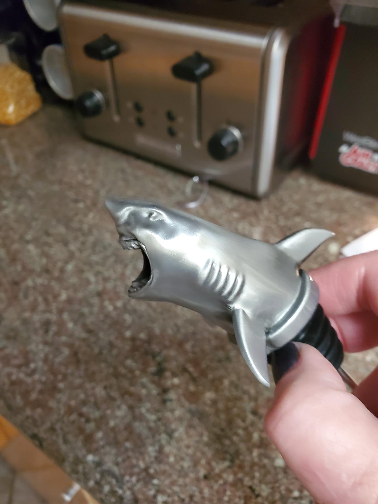 Stainless Steel Eagle Wine Aerator Pourer - Deluxe Decanter Spout for Robust Red and White Wine - Pour Amore Bottle Pourer/Stopper & Air Diffuser by Chris's Stuff customer photo 2