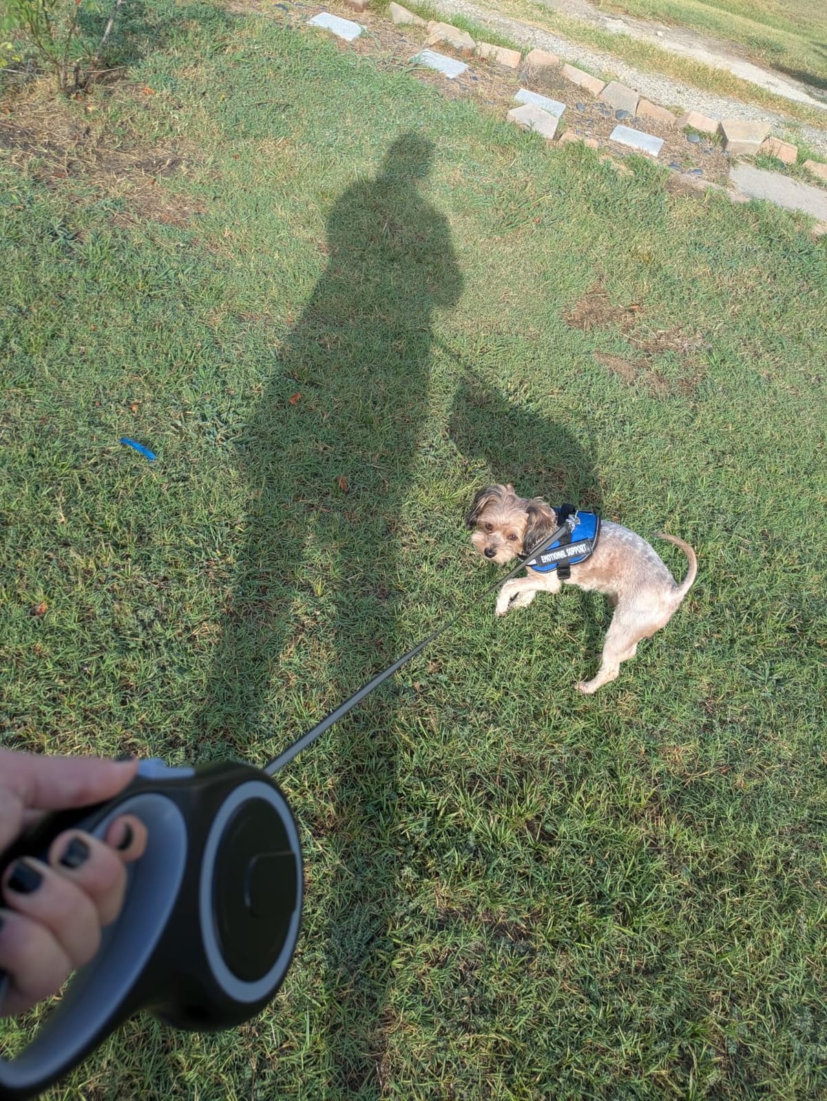 26Ft Retractable Dog Leash, Heavy Duty Great Leash for Dog up to 110 lbs, Anti-Slip Rubberized Handle, One-Handed Brake, Strong Nylon Tape, Tangle Free(Large Size). customer photo 2