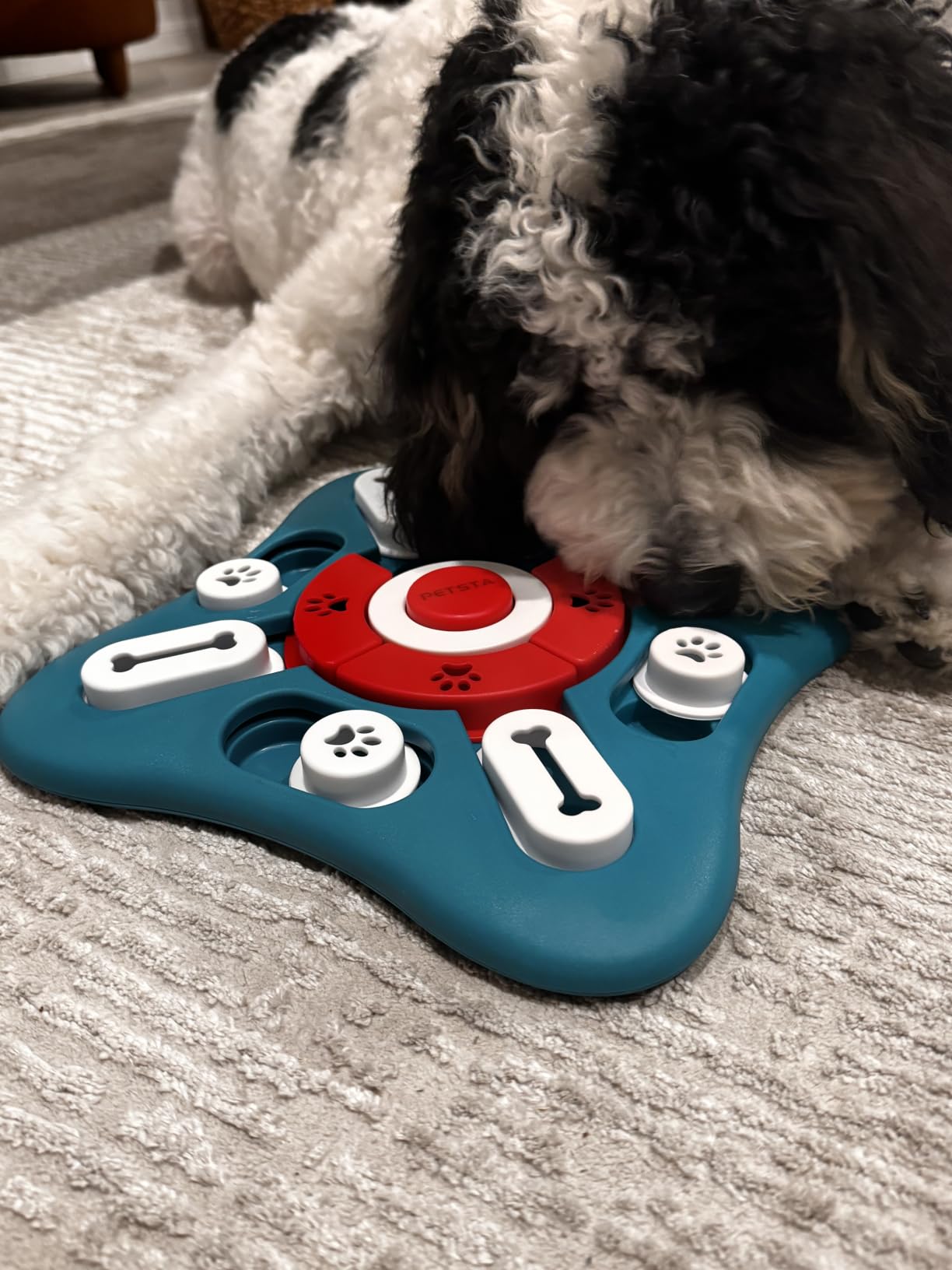 PETSTA Dog Puzzle Toys, Treat Dispensing Dog Enrichment Toys for IQ Training and Brain Stimulation, Interactive Mentally Stimulating Toys as Gifts for Puppies, Cats, Dogs customer photo 2