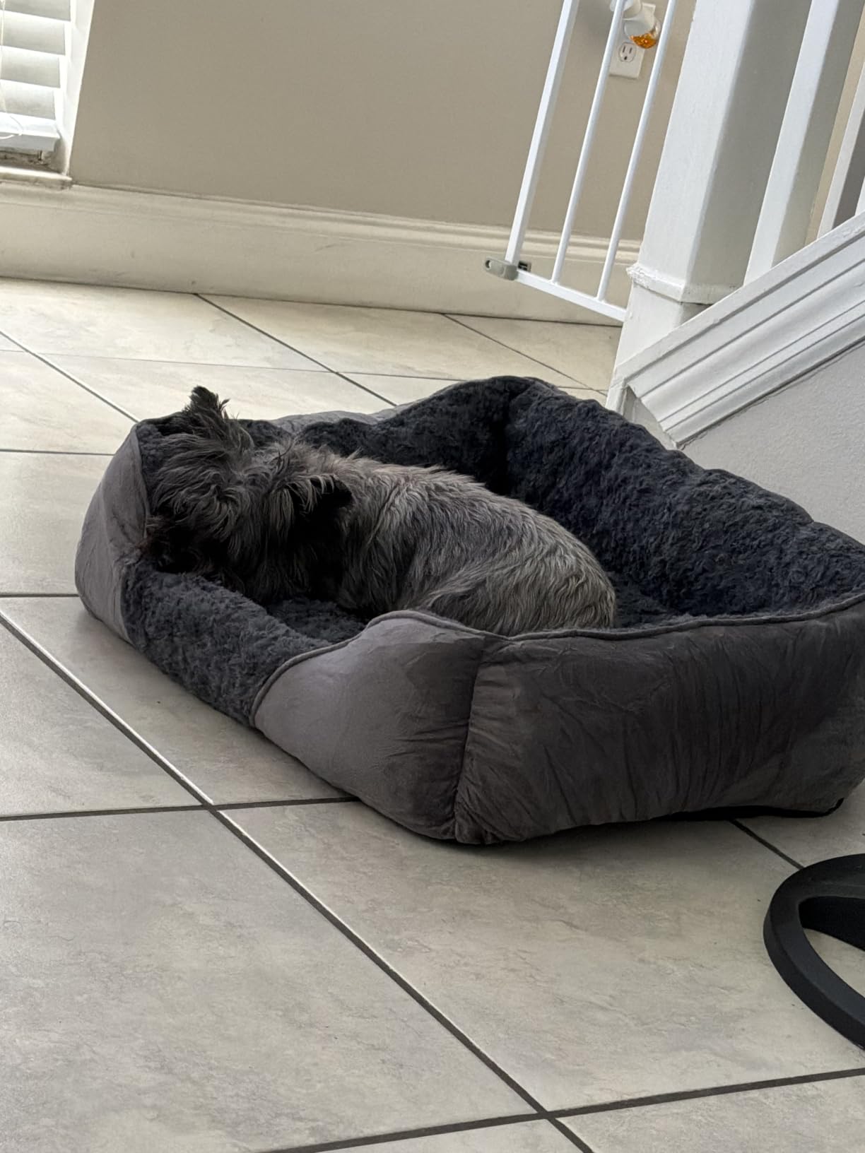 INVENHO Rectangle Washable Orthopedic Dog Bed for Small, Medium and Large Dogs, Soft Calming, Sleeping Puppy Bed Durable Pet Cuddler with Anti-Slip Bottom, S (20