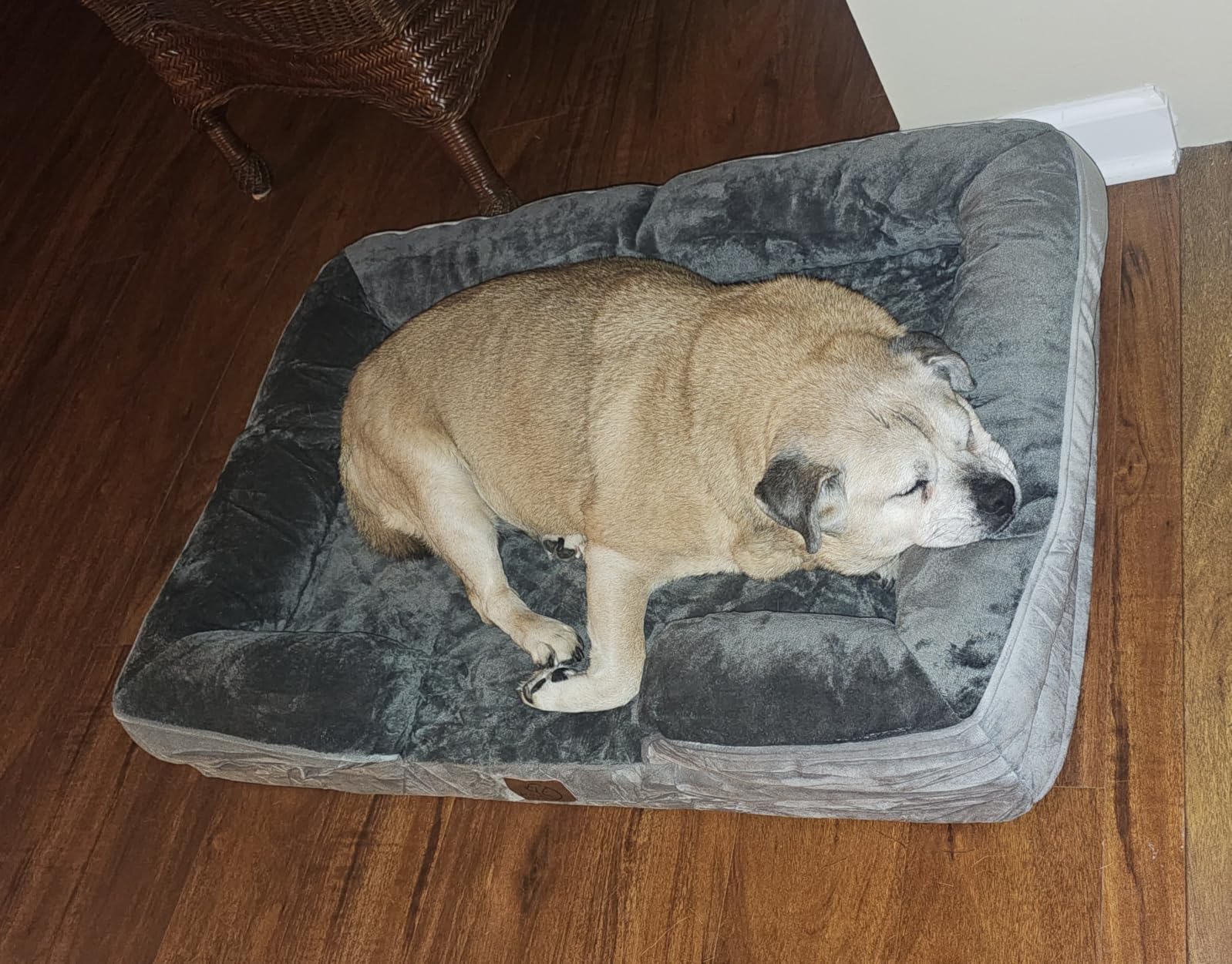 Bedsure Orthopedic Dog Beds for Small Dogs with Removable Washable Cover customer photo 1