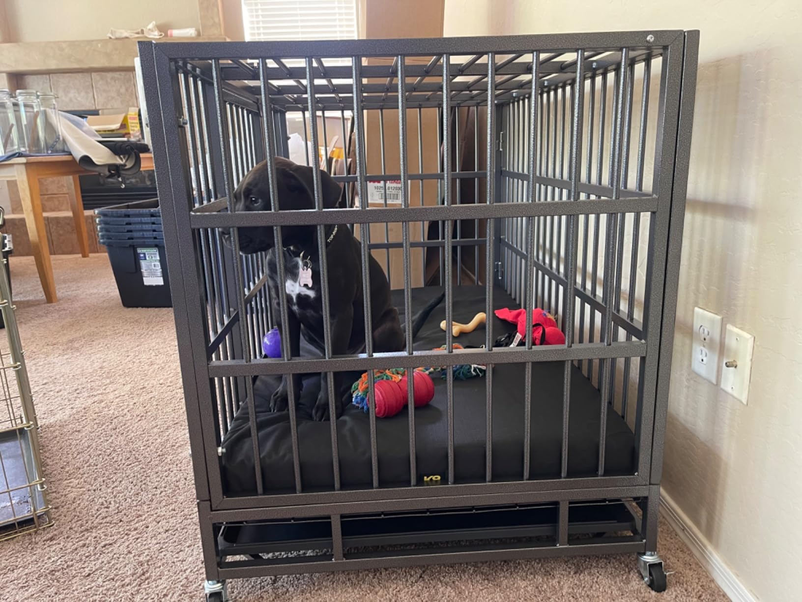 K9 Ballistics Tough Ripstop Orthopedic Crate Bed, 41 x 27, Obsidian Black customer photo 2