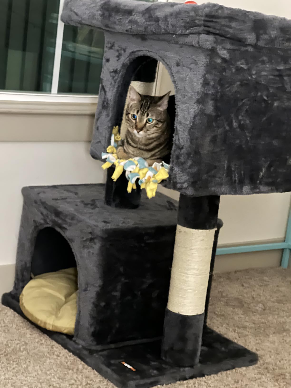Feandrea Cat Tree, 26.4-Inch Small Cat Tower, Cute Plush Condo, Light Gray customer photo 2
