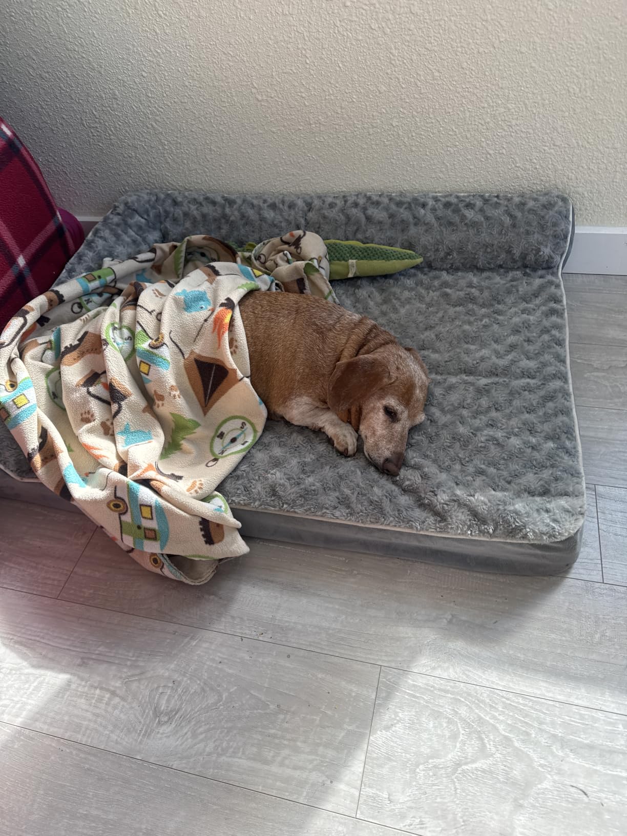 BFPETHOME Orthopedic Washable Dog Bed, Sleeping Couch for Large Senior Dogs customer photo 2