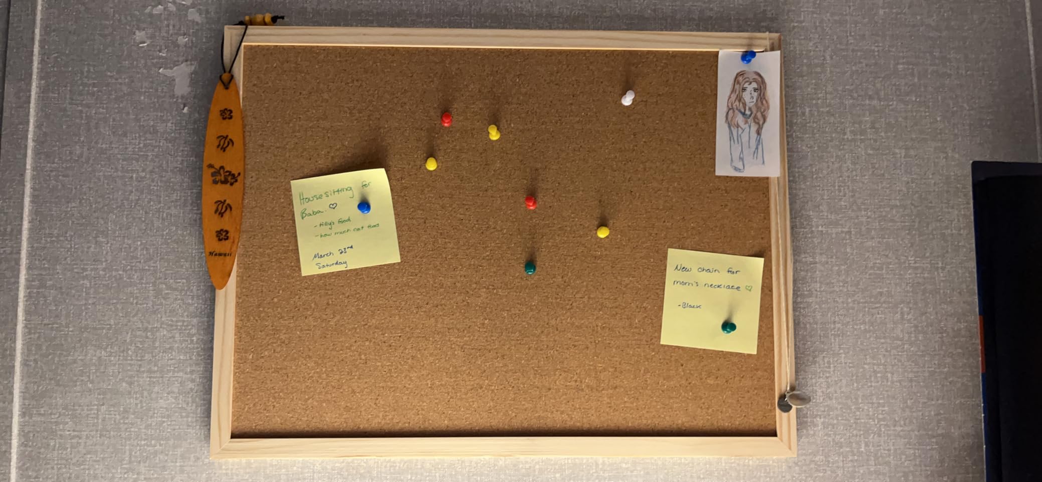 OWLKELA Cork Bulletin Board, 24