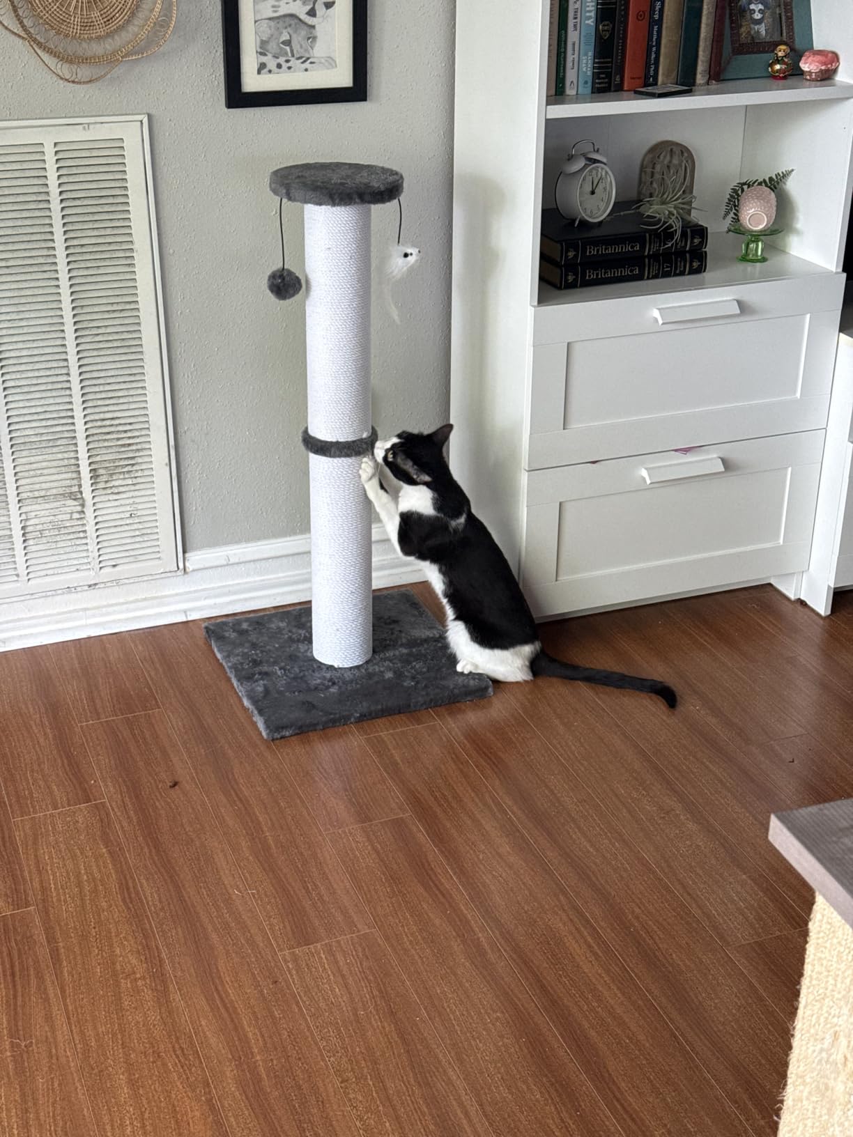 34-Inch Tall Cat Scratching Post for Large Cats, Stable Base, Gray customer photo 2