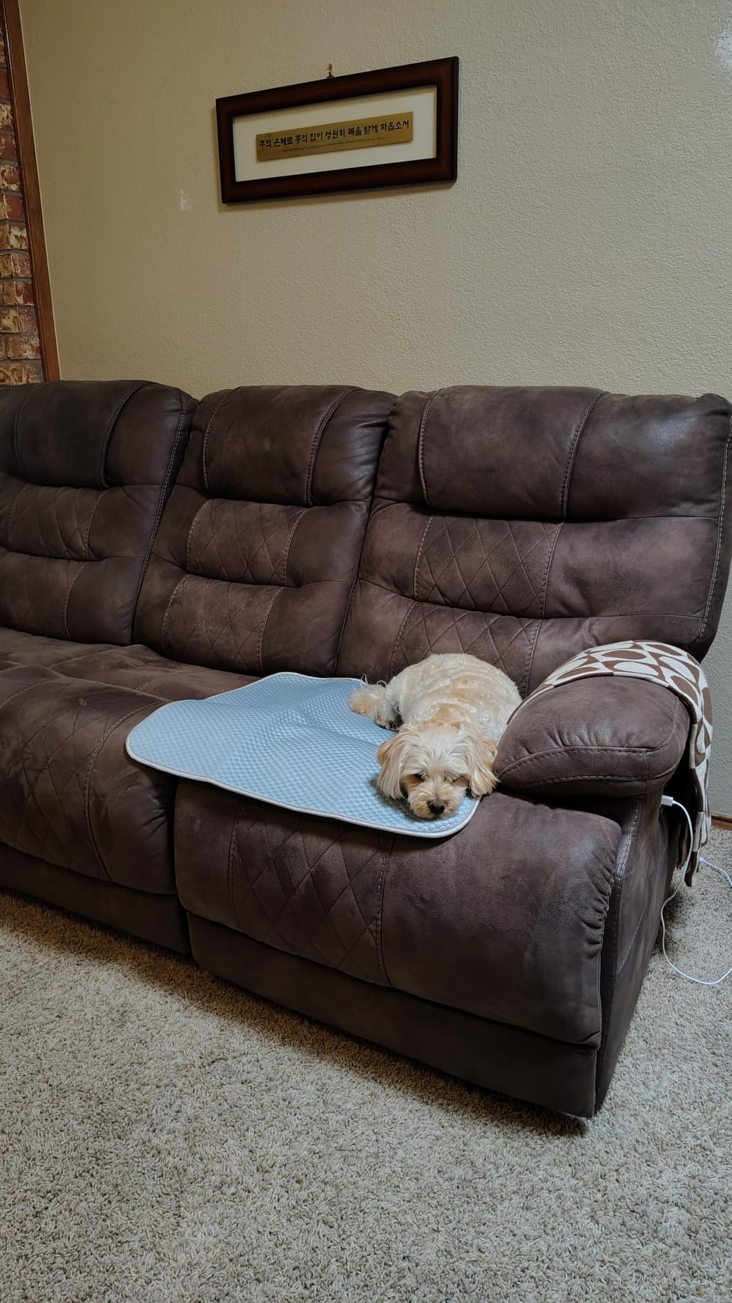 Buvlnee Summer Dog Cooling Mat, Washable Ice Silk Self Cool Pad for Small Medium Large Dogs and Cats, 24x18in Pet Sleeping Pad for Crate, Bed, Indoor & Outdoor Floor, Car Seats customer photo 1