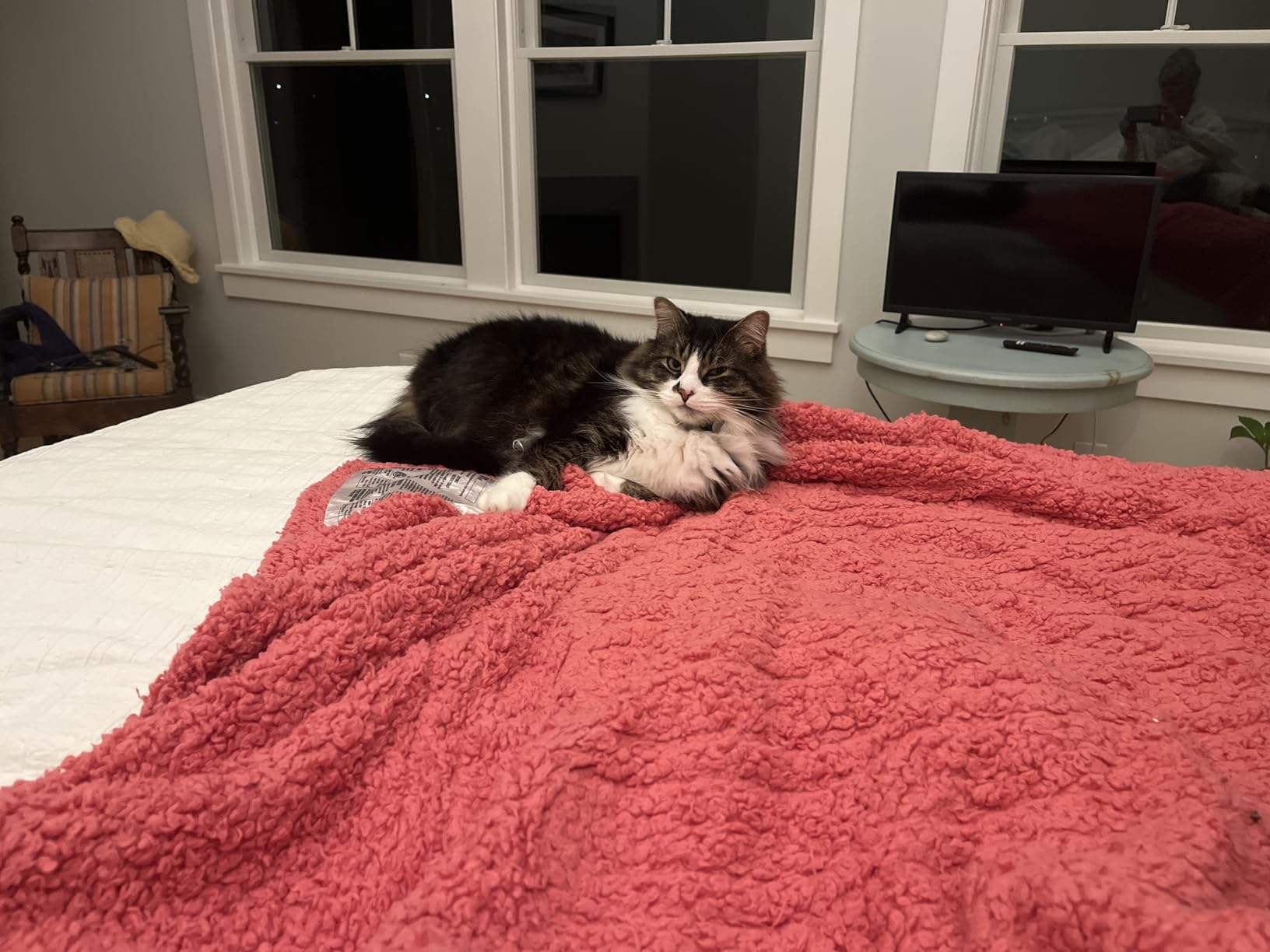 ESTINGO Heated Throw Blanket, Fast Heating Electric Blanket Throw 50